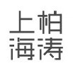 上海柏涛